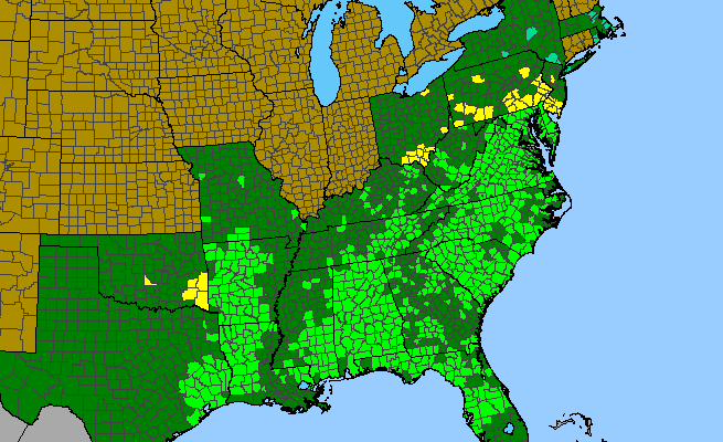 The range of Chionanthus virginicus